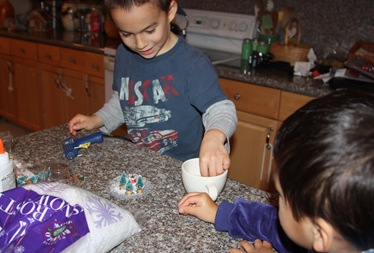 2010-12-15_018