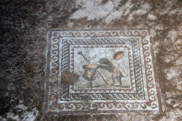 Λεπτομέρεια από ψηφιδωτό δάπεδο που αποκαλύφθηκε από την ανασκαφή στο ιερό της Ίσιδας. [Credit: Ίδρυμα Ιωάννη Κωστόπουλου]