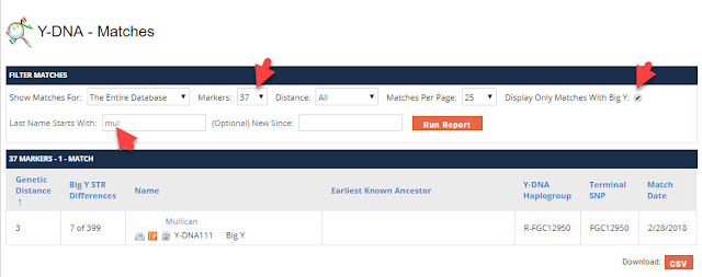 STR matches filtered by Big Y and surname