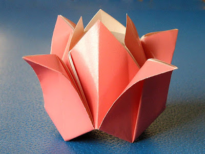 foto origami, Rosa by Francesco Guarnieri