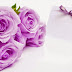 PURPLe   ROSe