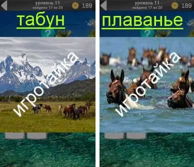 1100 слов загадок плаванье, табун ответы на 11 уровень