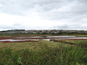 Lodmoor RSPB, Dorset