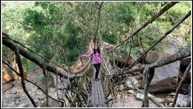 Single Live Root Bridge, Nongthymmai