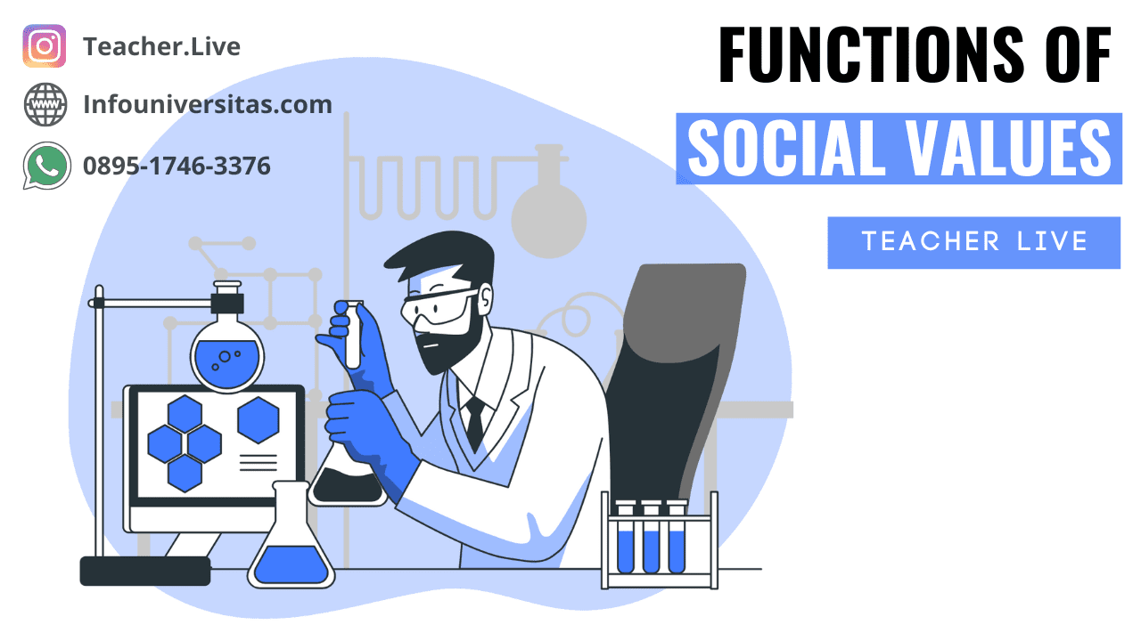 Functions of Social Values
