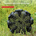 Fishing Cage Basket Plastic