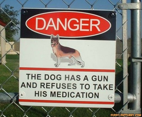 Photo of a funny beware of dog sign