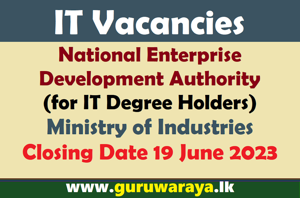 IT Vacancies - Ministry of Industries