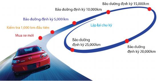 Quy trình bảo dưỡng xe mazda