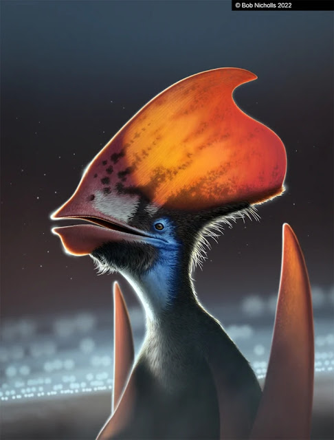 Καλλιτεχνική απεικόνιση του Tupandactylus imperator. [Credit: Bob Nicholls 2022]