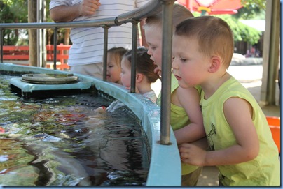 Zoo with Daddy 157