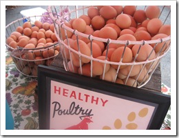 chicken eggs quattros poultry farm rhinebeck farmers market