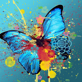 Gambar-gambar warna-warni indah 