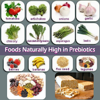 Prebiotik adalah Makanan bagi Probiotik untuk Anak Autis