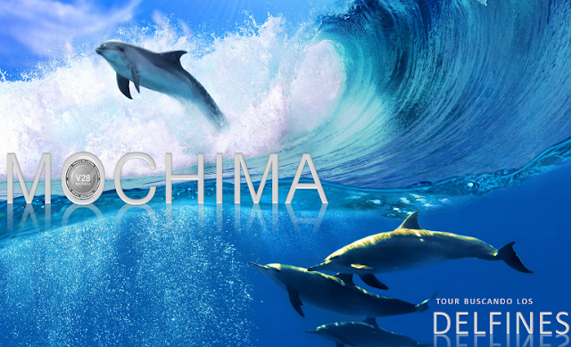 imagen  Enero 2017  Tour buscando los delfines en mochima 