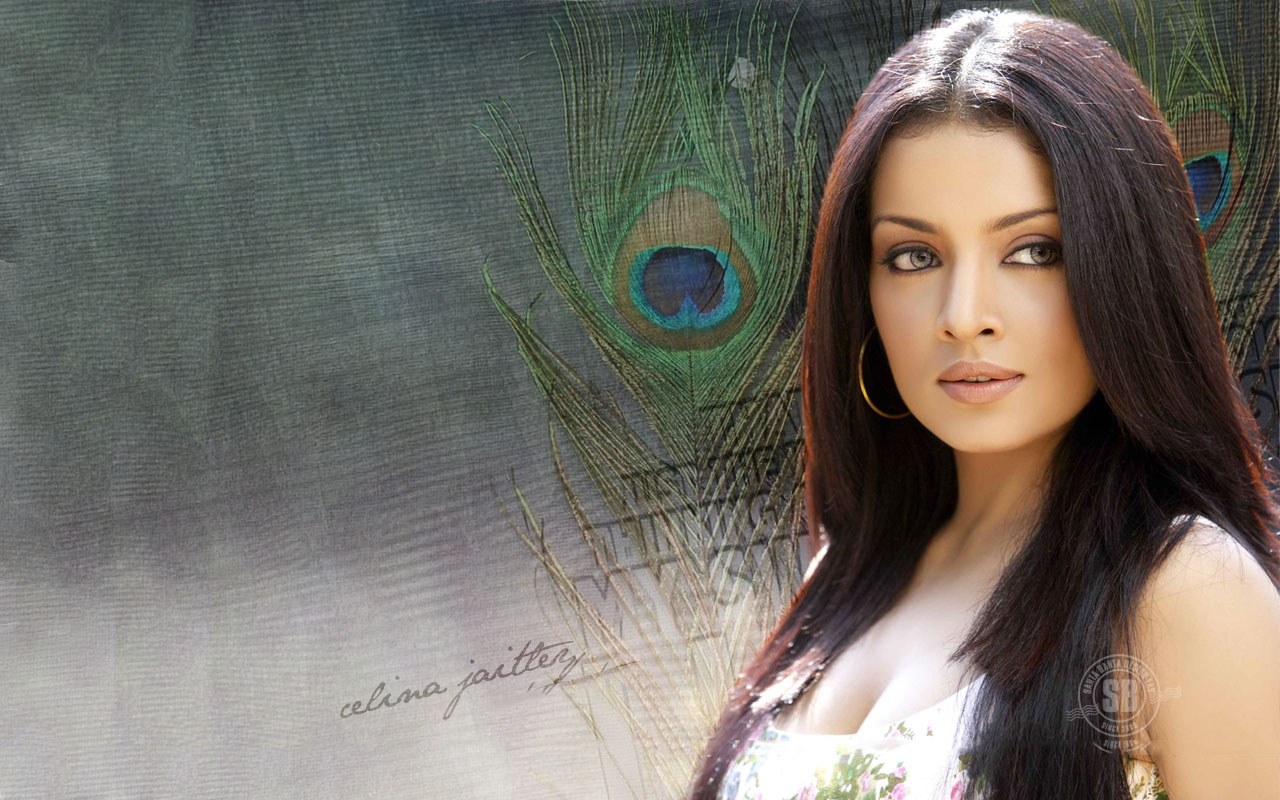 HD wallpapers: Bollywood most popular actress Katrina Kaif Very Very ...