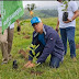 Edenorte planta 2300 árboles durante jornada de siembra en Palo Alto   