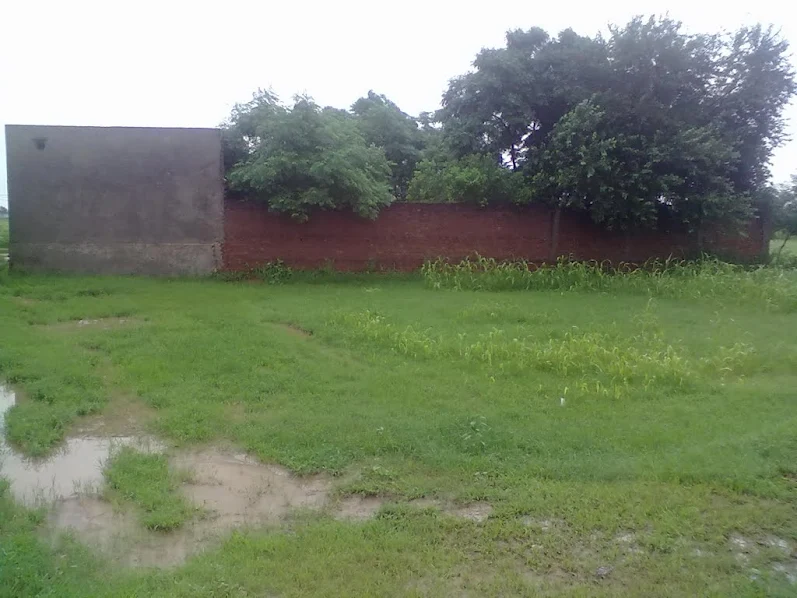 Moon Public School Jabbal