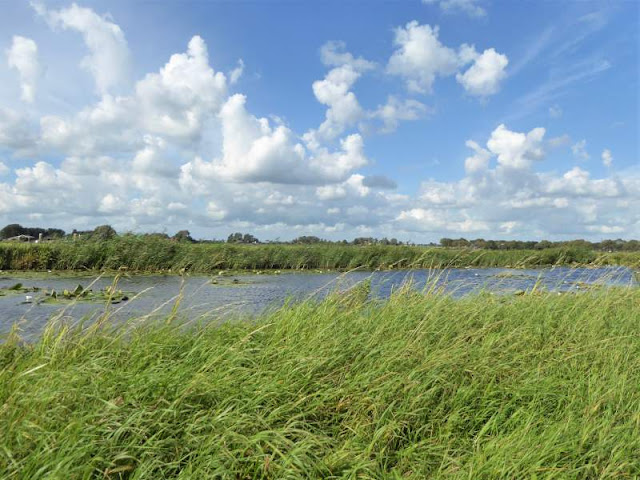 polder del waterland