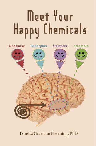 Pondok Ilmu Nusantara Neurotrasnmitters dalam Otak yang 