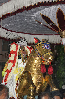 Sri Parthasarathy Perumal,Purattasi, Vijayadasami, Vedanthadesikar satrumurai,Purappadu,2016, Video, Divya Prabhandam,Triplicane,Thiruvallikeni,Utsavam,