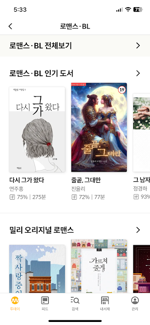 웹소설