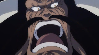 ワンピース アニメ 958話 四皇 百獣のカイドウ懸賞金 ONE PIECE Episode 958