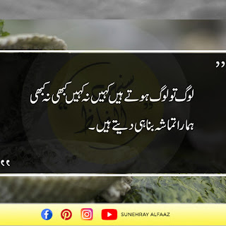 urdu quotes