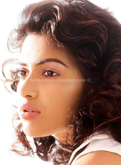 Amala Paul Latest HOT Photoshoot Gallery 