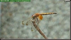 20140722_122126_153_BaiMaSi