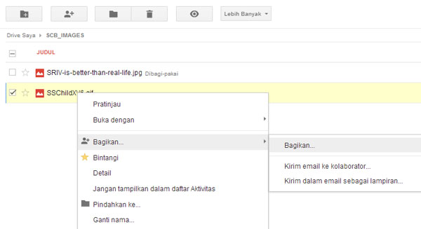 share file google drive, bagikan file google drive