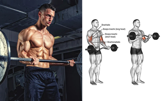 The 15 Best Barbell Strength Training Exercises for Men