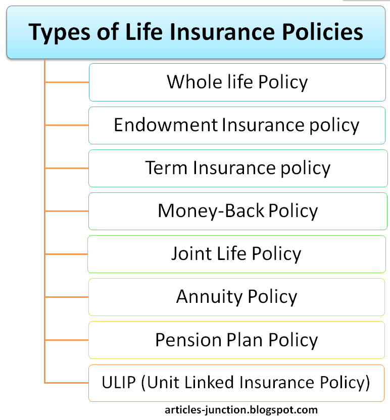 What are the Different Types of Life Insurance? We have ...