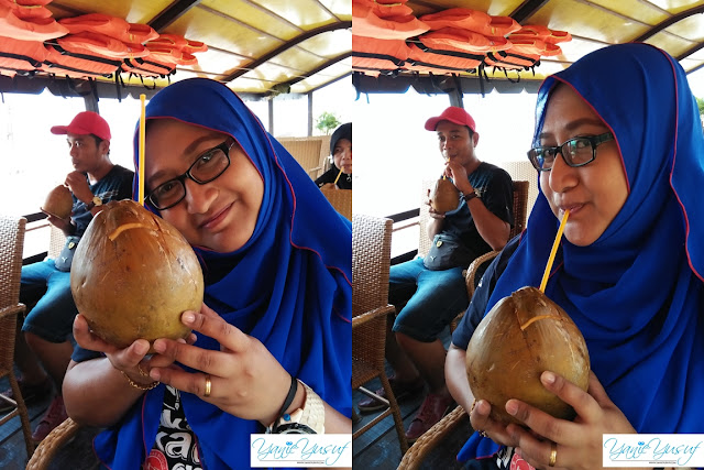 Vietnam, sungai mekong, air kelapa