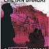 REVOLUTION  TWENTY-20 BY CHETAN BHAGAT.