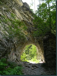 DSCN4134
