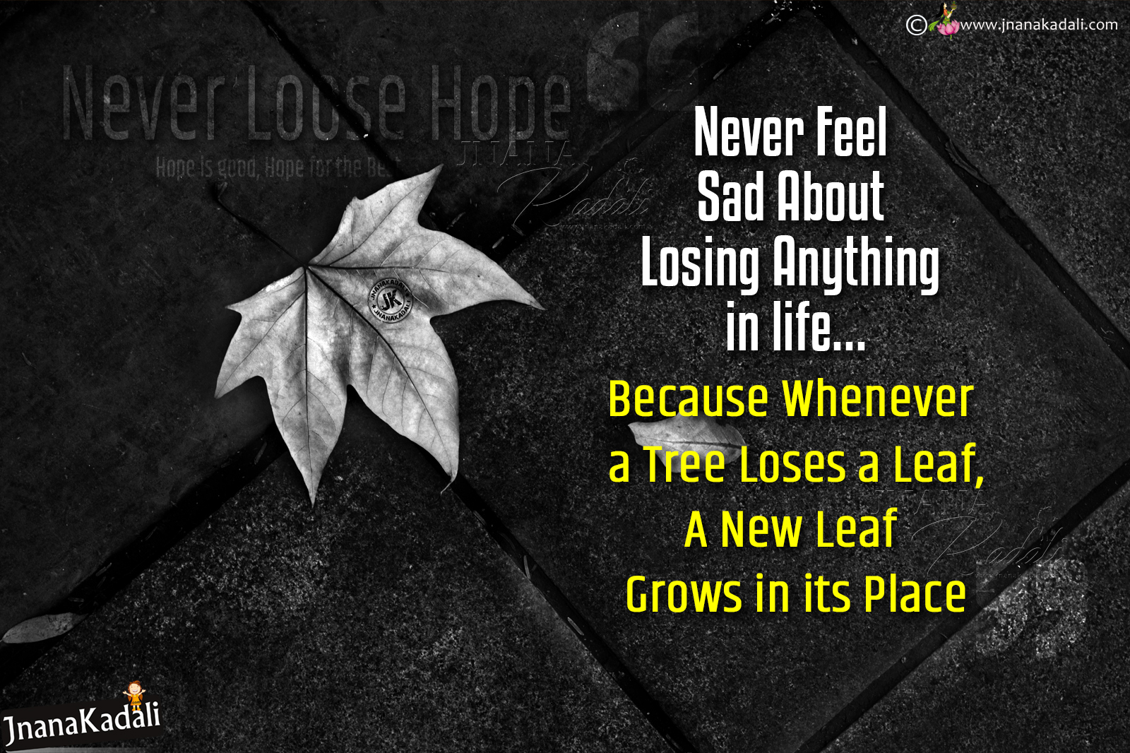 Never Loose Hope in Your life Quotes in English-motivational life value