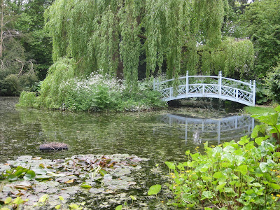 The main feature of the garden