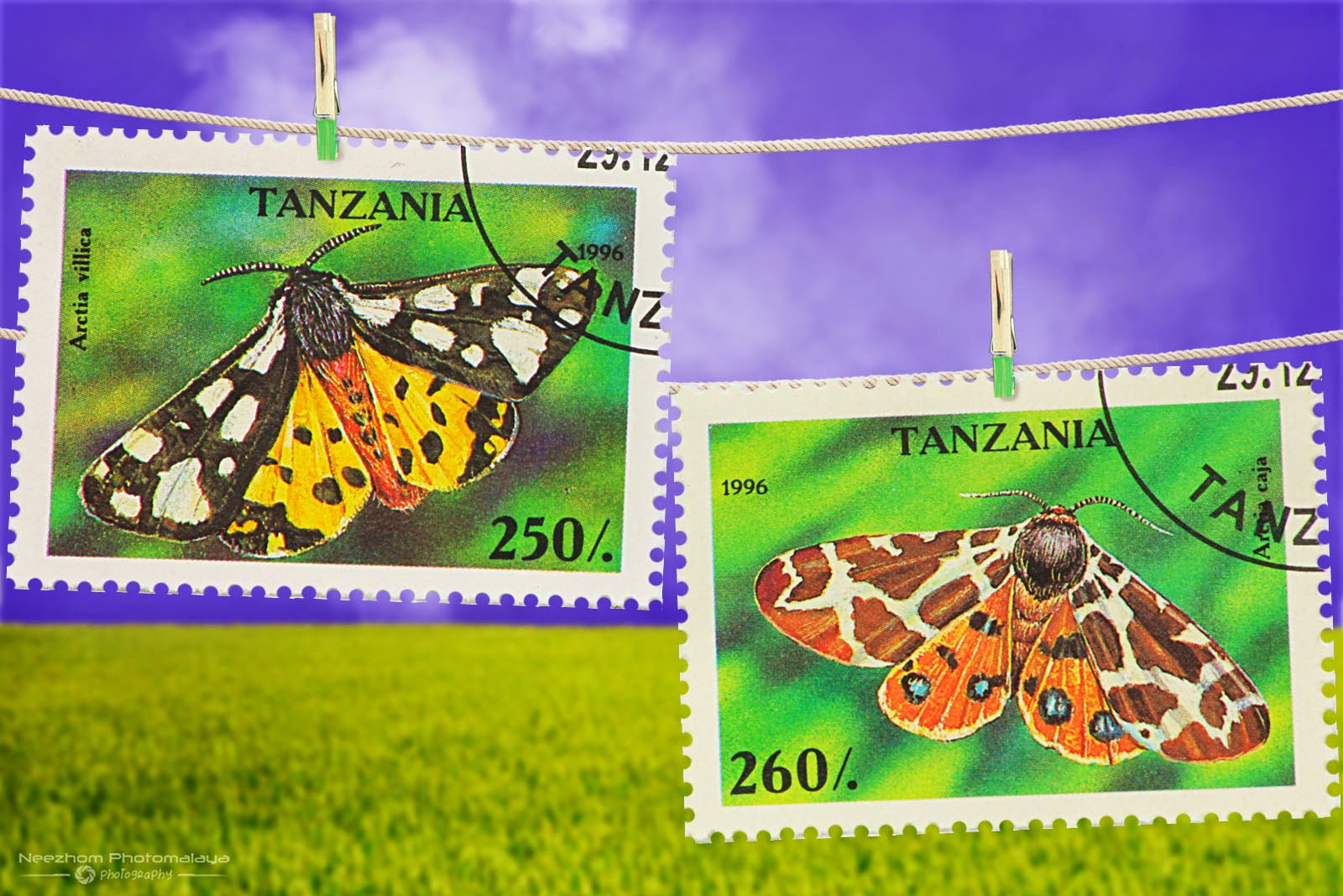 Tanzania Arachnids and Moths stamps