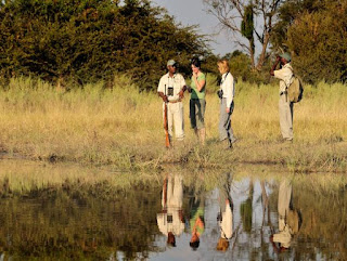 http://botswana-reservations.com/lodges/