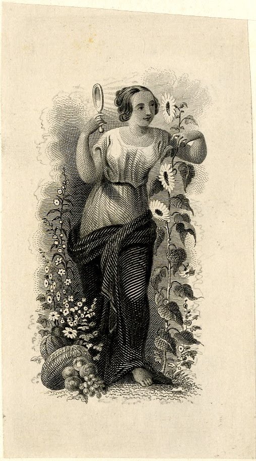 Standing female figure with mirror on the one hand and sunflower on the other. Design printed in black. (19th c)