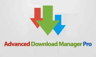 Download Aplikasi Advanced Download Manager Pro