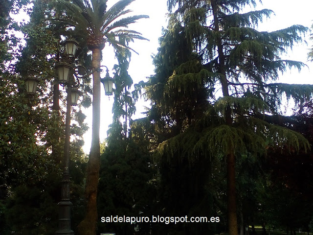 parque-san-francisco-oviedo