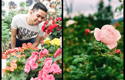 Orchid and Rose Garden