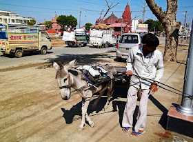 donkey cart