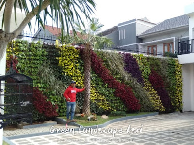 Jasa Pembuatan Vertical Garden dan Harga Pasang Terbaru di Kebumen