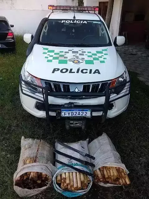 Polícia Militar surpreende infratores em Juquiá e apreende Palmito Juçara