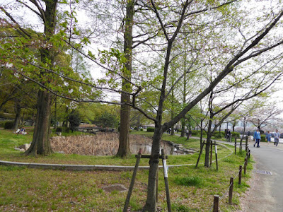 桜之宮公園