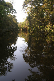 Lost Cities of the Amazon 1