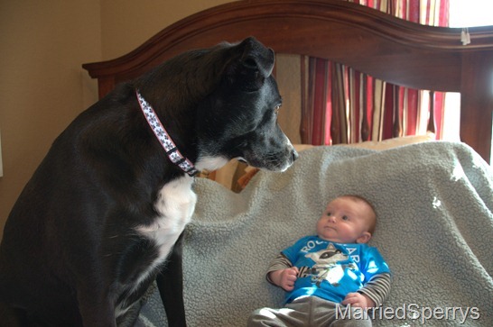 Mason_Allen_04_24_2013_2250.NEF